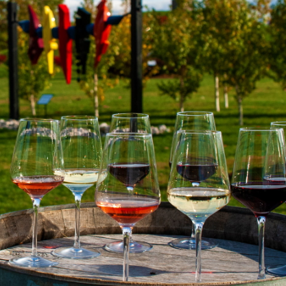 Niagara Wine Tours